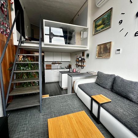 Zlín 1 Bedroom Loft Apartment מראה חיצוני תמונה