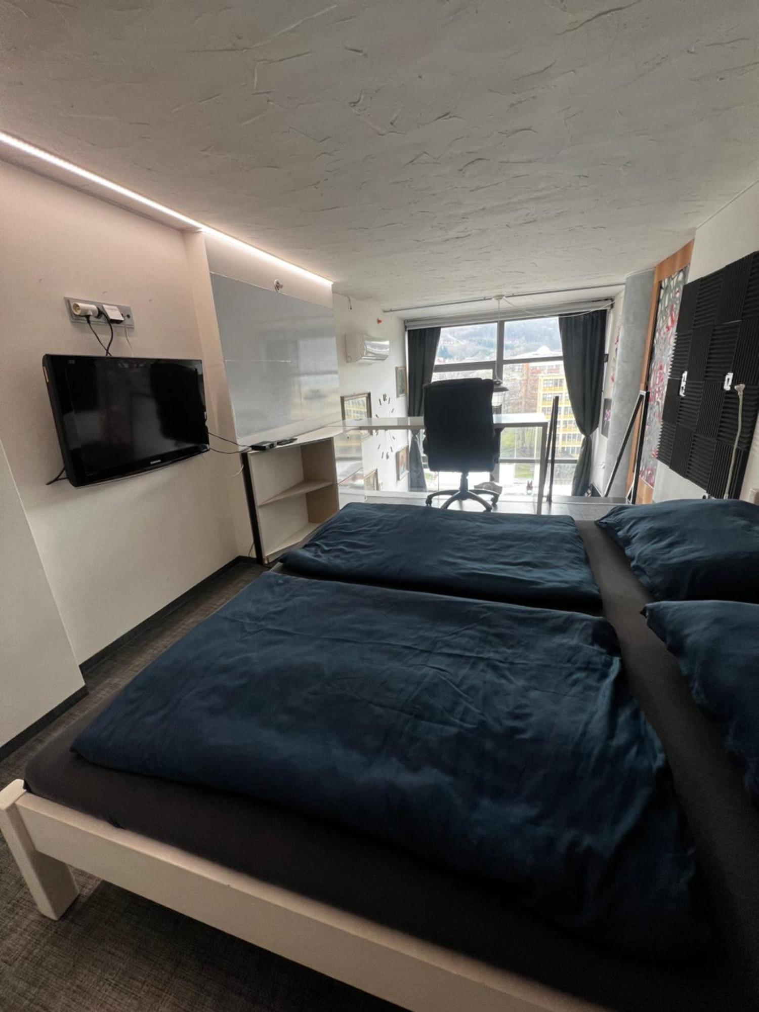 Zlín 1 Bedroom Loft Apartment מראה חיצוני תמונה